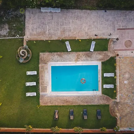 Apartamento Olive Tree