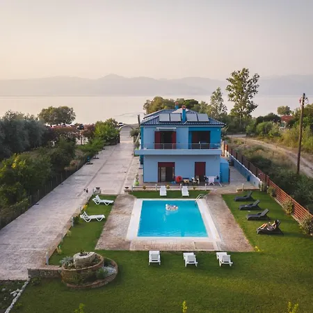 Olive Tree * Eleonas