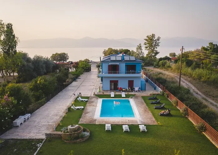 Olive Tree * Eleonas