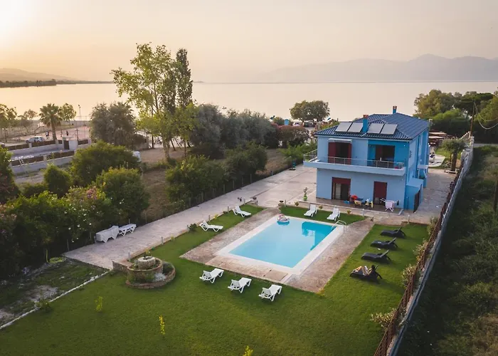 Olive Tree Apartament *